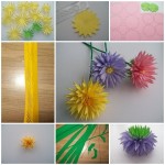 Asters-Flower-intro