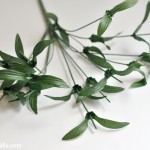 Bare-Stems