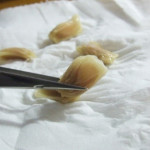 Lemon-2