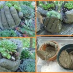 hands-garden