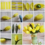 tulip-i