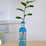 Colorful-Bottle-Vase-All-0-0