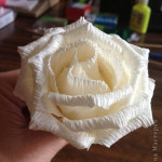 Corrugated-Paper-Rose-All-00-00