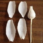 Corrugated-Paper-Rose-All-00-02