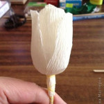 Corrugated-Paper-Rose-All-00-03