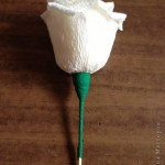 Corrugated-Paper-Rose-All-00-05