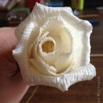 Corrugated-Paper-Rose-All-00-07