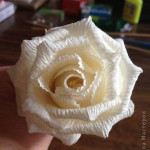 Corrugated-Paper-Rose-All-00-08