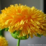 Dandelion-2