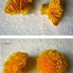 Dandelion-5