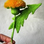 Dandelion-9