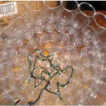 Plastic-Cup-Lamp-Lighting-00-06