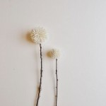 Pompons-decoration-75