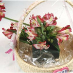 Rope-Gift-Basket-All-00-22