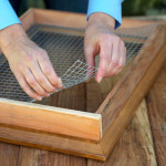 Succulent-Picture-Frame-3