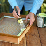 Succulent-Picture-Frame-5