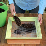 Succulent-Picture-Frame-6
