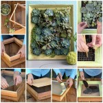 Succulent-Picture-Frame-i