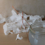 Tissue-Art-07