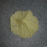 Tissue-Art-26