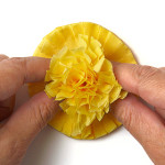Tissue-Paper-Flowers-11
