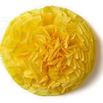 Tissue-Paper-Flowers-12