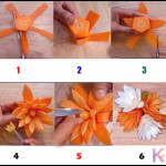 carrot