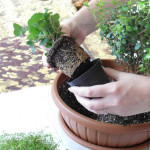 fairy-mini-garden-00-07