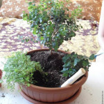 fairy-mini-garden-00-08