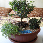 fairy-mini-garden-00-12
