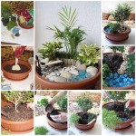 fairy-mini-garden-i