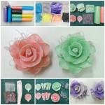 garbage-bag-rose-i