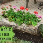 log-planter1