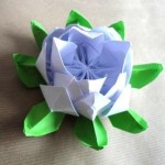 lotus-m