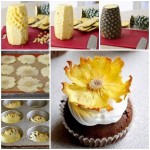 pineapple-flowr-i
