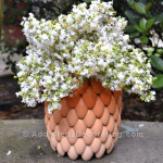 spoon-ombre-vase-9
