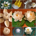 spoon-water-lily-f