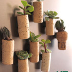 Cork-Planter-1