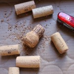 Cork-Planter-2