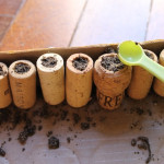 Cork-Planter-7