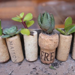Cork-Planter-8
