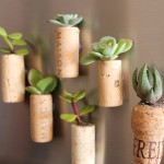 Cork-Planter-9