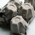 Egg-Carton-03