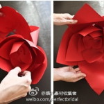 Wedding-Rose-0-5