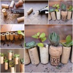 Wine-Cork-Garden