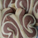 diy-awesome-butterfly-cookies-1