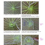 diy-paper-plate-circle-weaving-rope-swirl-tapestries-3