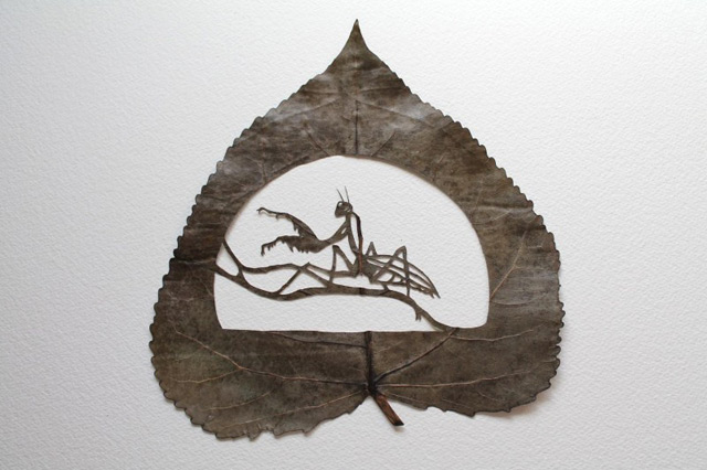 extraordinary-leaf-artwork-by-lorenzo-duran-4