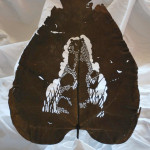 extraordinary-leaf-artwork-by-lorenzo-duran-5