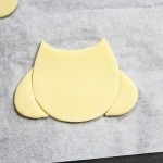 owl-cookies-04